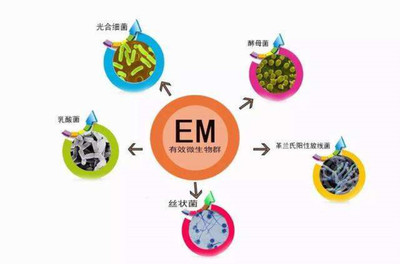 有機肥技術推廣的有效策略與實踐路徑